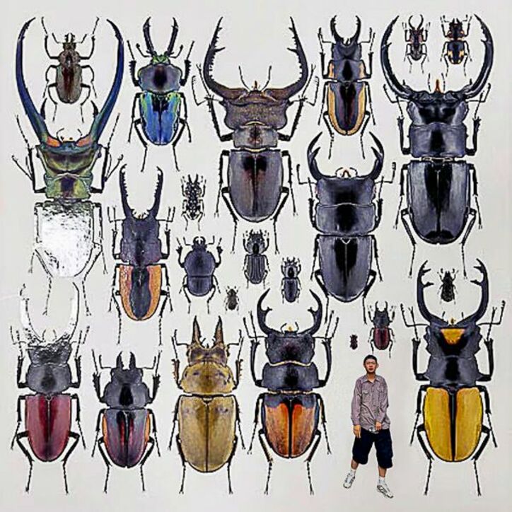 【写真・画像】　1枚目