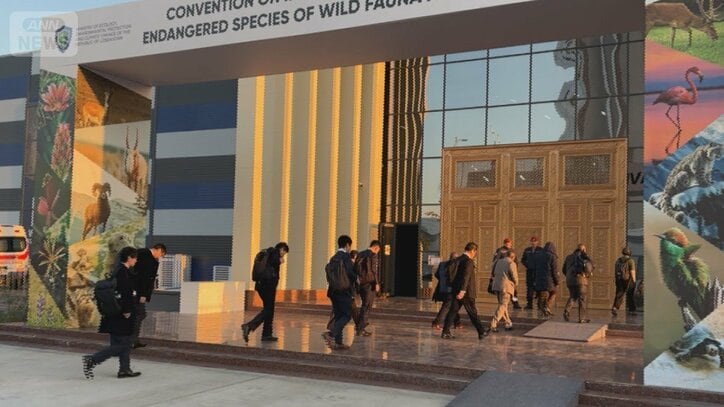 会場に入る日本代表団