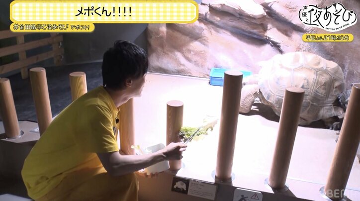 【写真・画像】「スベることを恐れるな!」金田朋子&畠中祐が新感覚アクアリウムで“ガチンコ川柳対決”! 4枚目