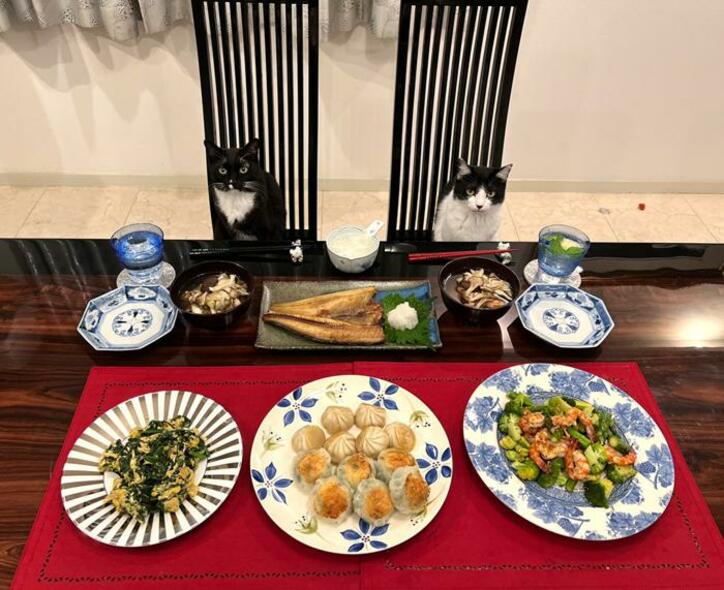  藤あや子、坂本冬美からの頂き物で作った夕食を公開「流石です」「料理の天才」の声 