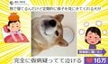 じろり…寝込む飼い主を“監視する”柴犬の姿が話題に「確かに心配してる顔じゃないw」