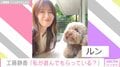 工藤静香、愛犬と戯れ合う姿が可愛いと話題に「気取らない静香さんが、知れば知るほど好きになります」「私もしーちゃんと戯れたいです」