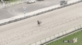 何が起こった? 小柄牝馬が“3分間”トコトコ脱走…異常なし出走にファン安堵「無事確保」「自由だなぁ」