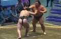 「顔ばっか張って」「ほぼビンタじゃん」三田が再び受難…連日の“張り手”攻勢にファン憤りと困惑