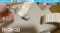 「トコトコトコ…」二足歩行するハムスターの“足音”に「背中にゼンマイついてます？」「可愛すぎる笑」と反響