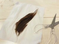 大堀恵『破天荒な娘』