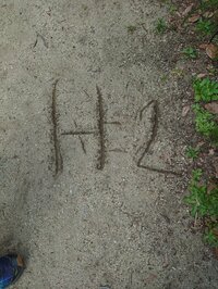 山田花子『公園で感動』