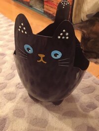 鈴木蘭々『誕生日プレゼント』