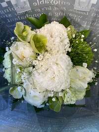 戸田恵子『じつにさみしいです。』