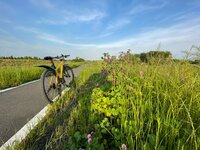 原田龍二『相棒❗️』