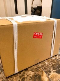 堀ちえみ『心が癒される九谷焼の器』