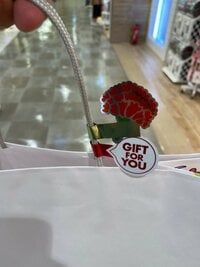 宮崎謙介『宮崎家、母の日のプレゼント』