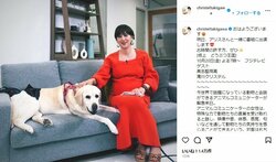 第2子妊娠中の滝川クリステル、愛犬との2ショットを公開し反響「元気そうで良かった」「ふっくらしたお腹で可愛い」