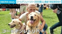 ピンクのドレスやスカーフでおめかしした“ゴールデンレトリバー” 2000頭以上集結で世界記録挑戦へ アルゼンチン