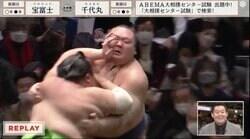 力士はまわしが取れないと肉を掴んで攻めに出る！元若乃花「掴むんです。人間みんな必死になりますから」