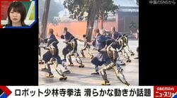 ロボット少林寺拳法が話題…なめらかすぎる動きにAI？の声 中国