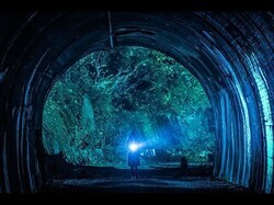 清水崇監督最新作『犬鳴村』 戦慄する最凶の予告映像が解禁