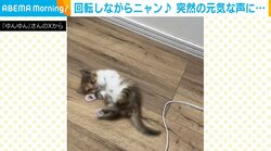 体調不良で声を失った保護猫 突然の大きな鳴き声に飼い主感動