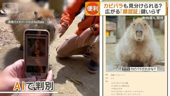 顔全体の特徴を捉えAIで判別