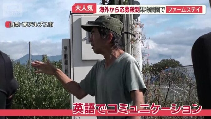 コミュニケーションは英語