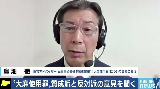 厚労省が法改正を検討 “大麻使用罪”創設は必要か 5枚目