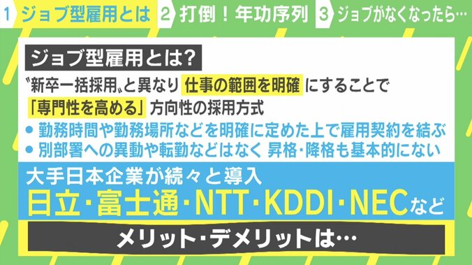 日立、富士通、NEC…「ジョブ型雇用」を大企業が続々導入する理由 2枚目