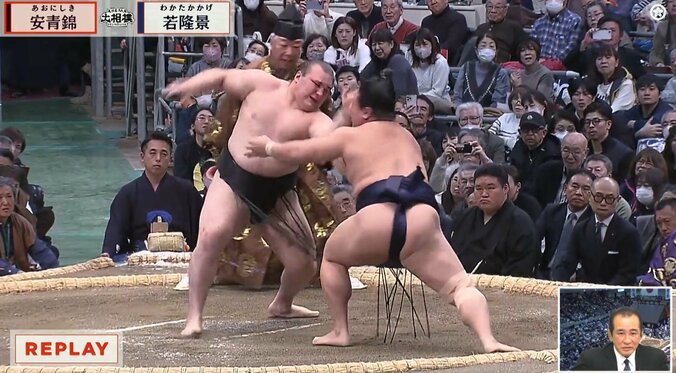 「まさか安青錦が」「前代未聞」執念の“一撃”にファン騒然「推しを…」容赦ない攻め 3枚目