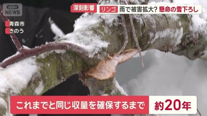 これまでと同じ収量を確保するまで約20年