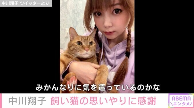 最愛の飼い猫“メポ”を亡くした中川翔子、“みかん”の思いやりに感謝「メポちゃんに頼まれたのかも」「家族って尊いね」と反響 1枚目