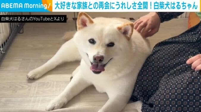 はるちゃん
