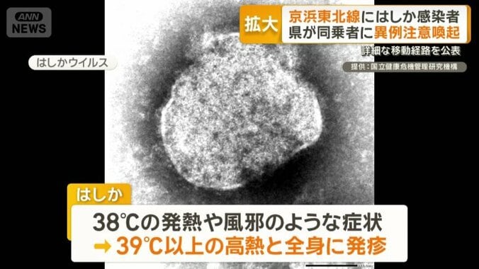 感染すると…