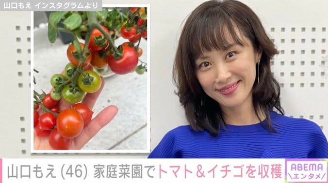 【写真・画像】山口もえ（46）、子どもたちに作った9食分のお弁当を公開 「ここのうちに生まれたかった」ファン絶賛　1枚目