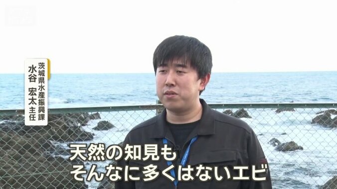 茨城県水産振興課　水谷宏太主任