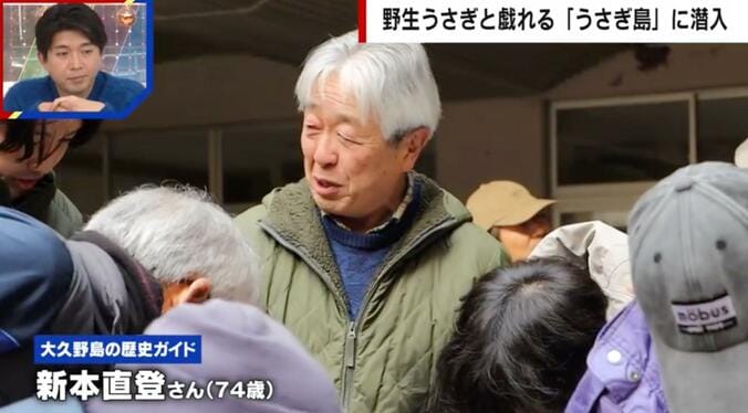 【写真・画像】「地図から消された島」がSNSで話題の「うさぎ島」へ 毒ガスの実験動物として使われた悲しい歴史も　4枚目