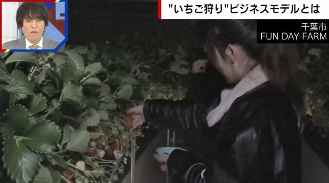 夜のいちご狩り