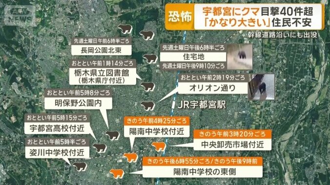 目撃情報