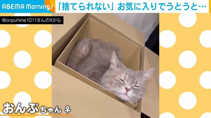 うとうとするおんぷちゃん