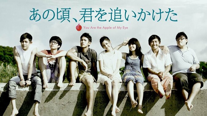 『サニー永遠の仲間たち』『猟奇的な彼女』『怪しい彼女』『あの頃、君を追いかけた』日本でリメイクされたアジア映画特集 5枚目