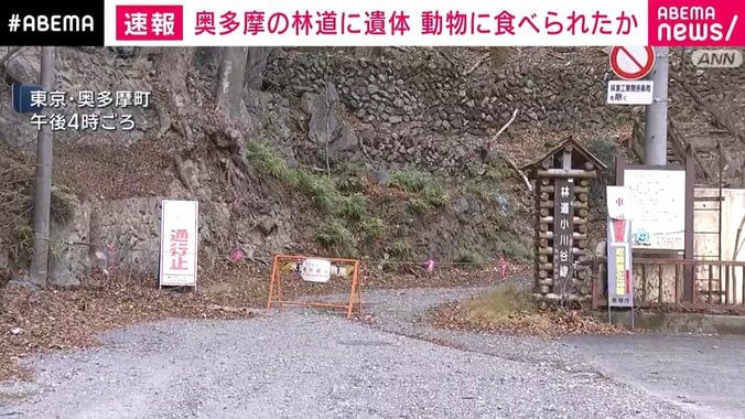 遺体が見つかった現場周辺の様子
