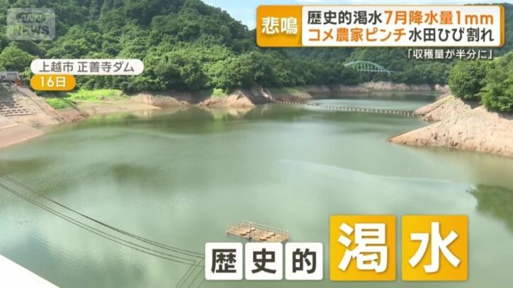 歴史的渇水