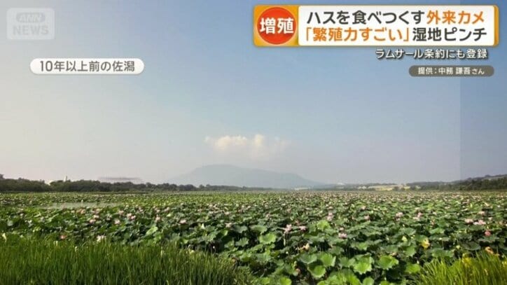 10年以上前に撮られた写真