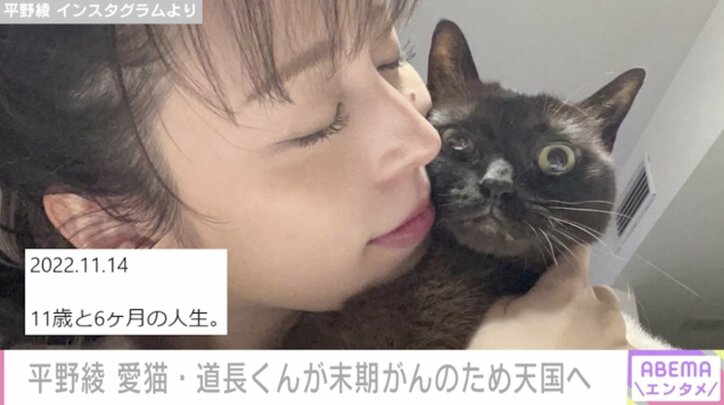 平野綾、愛猫が末期がんのため天国へ「最期は私の腕の中で私の顔を見ながら息を引き取りました」