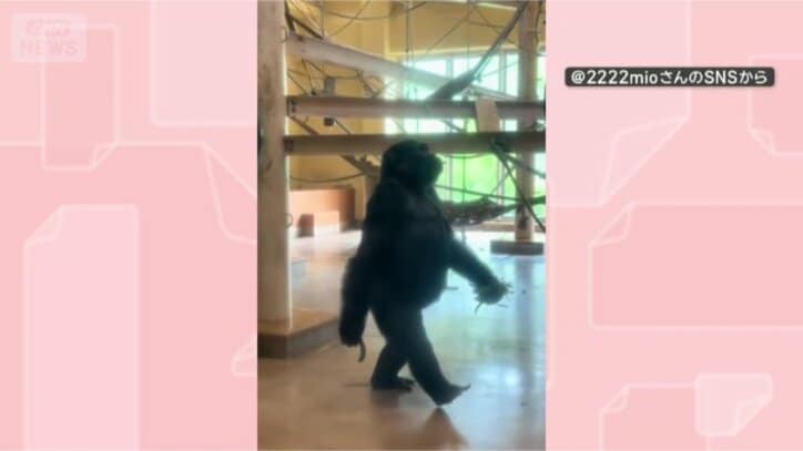 背筋ピン！