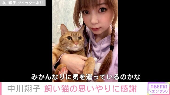 最愛の飼い猫“メポ”を亡くした中川翔子、“みかん”の思いやりに感謝「メポちゃんに頼まれたのかも」「家族って尊いね」と反響