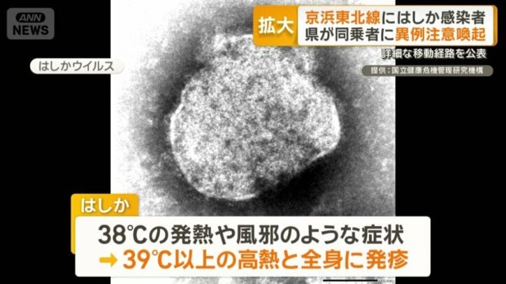 感染すると…