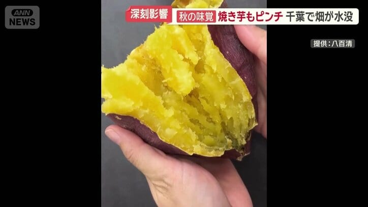 看板商品の焼き芋
