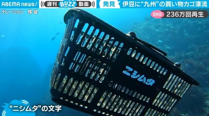 伊豆の海中を漂う買い物カゴ 移動距離“800キロ”超えの可能性に「そんなに遠いところまで」驚きの声