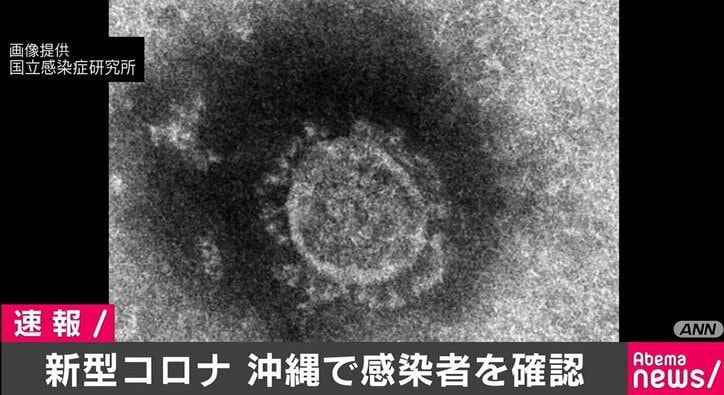 新型コロナウイルス、沖縄県で初の感染者を確認