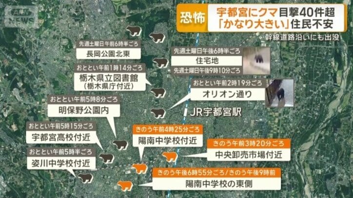目撃情報