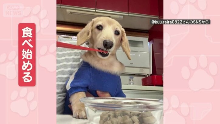 箸であげると…食べる